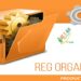 Download Reg Organizer v8.81 Mới Nhất – Dọn dẹp máy tính Windows