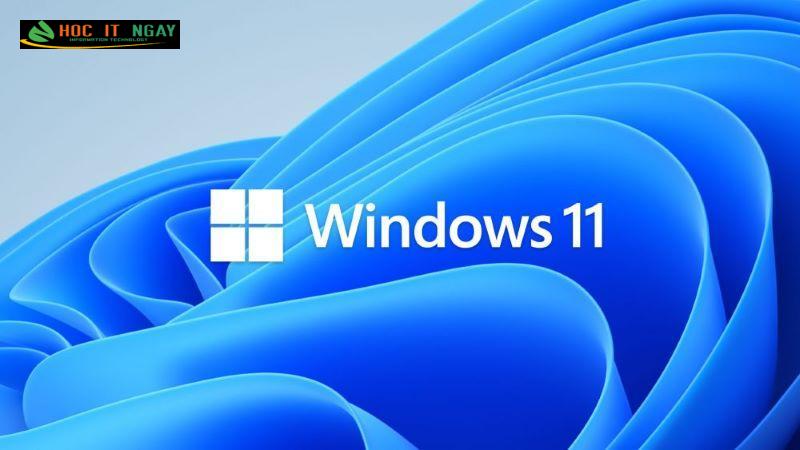 Nên cài win 10 hay win 11, có nên nâng cấp không ? 14 nên cài win 10 hay win 11