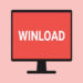 winload exe error