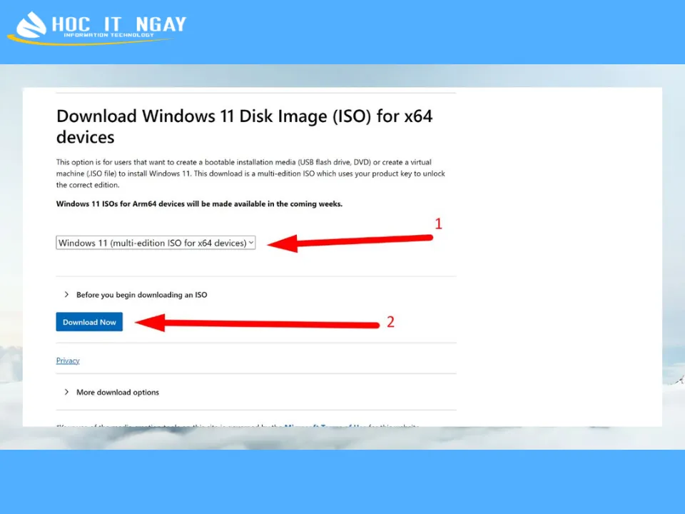 Download Windows 11 File ISO chính thức từ Microsoft cực nhanh 16 Bước 2: Lựa chọn phiên bản Windows 11 ISO